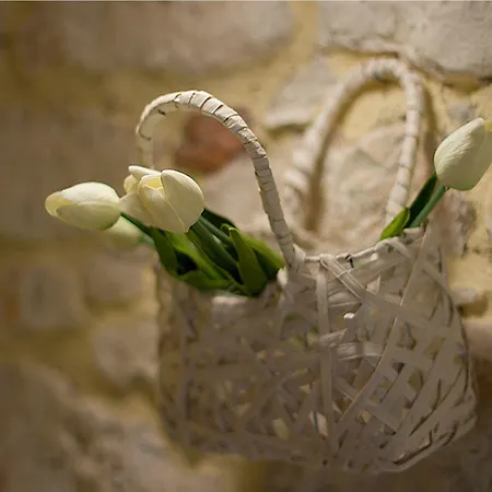 Duketis בית הארחה