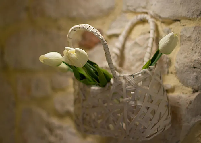 Duketis Πανσιόν