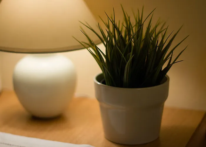 Duketis 4* Ρόβινι