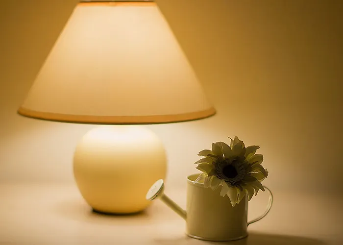 Πανσιόν Duketis Ρόβινι