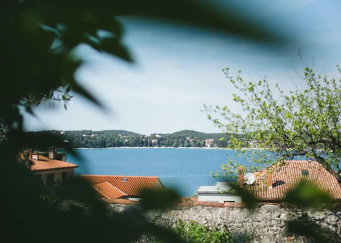 Duketis Ρόβινι