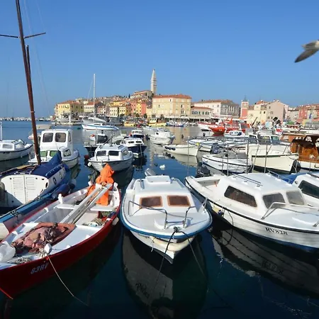 Guest house Duketis 4*